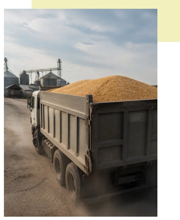Перевозка сельхозпродукции навалом в Краснотурьинск по цене от 3190 р. | Агросервис-Кту